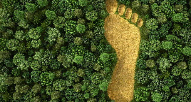 A climate footprint generator will make it easier to make sustainable choices