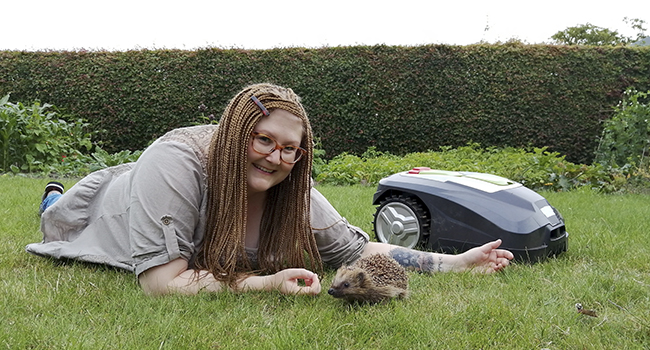 Do robotic lawn mowers hurt hedgehogs? 